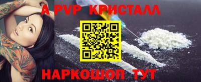 шишки Обь
