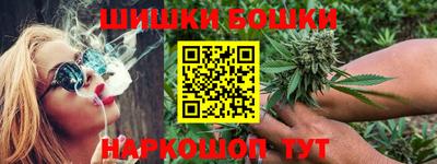 шишки Обь
