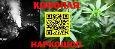 jwh Новозыбков