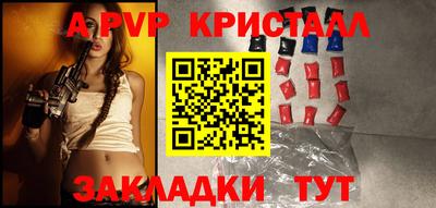 шишки Обь
