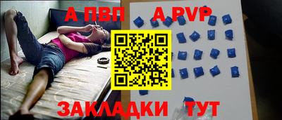 шишки Обь