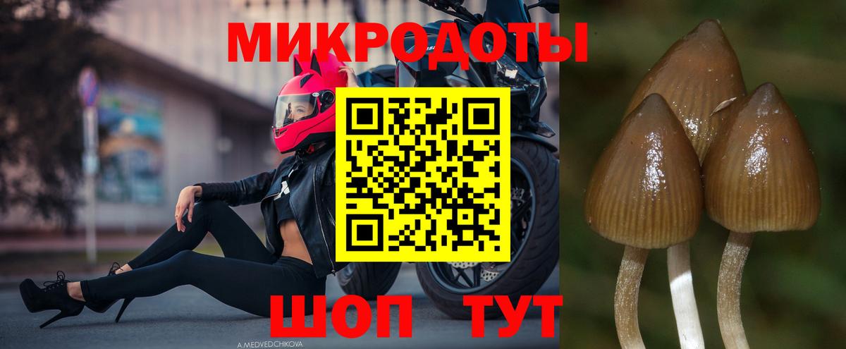 Фролово  Галлюциногенные грибы ЛСД  хочу   Вход с VPN 